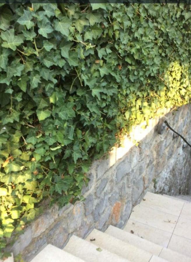 Villa Mediteran Opatija **** 외부 사진